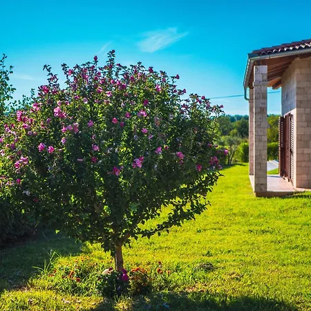 Lujo Villa Drniš